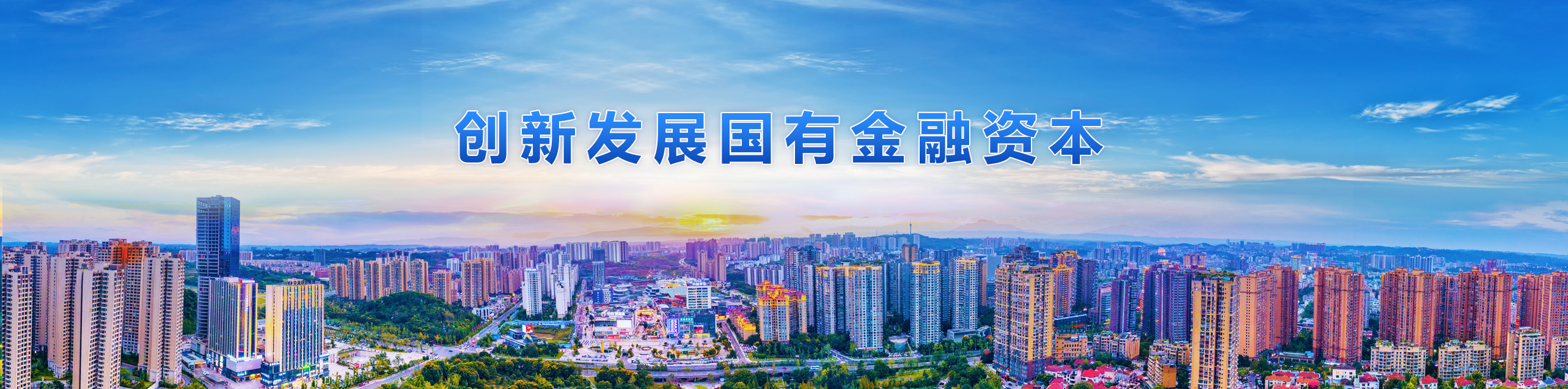 创新发展国有金融资本